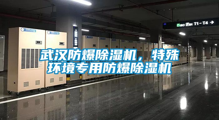 武汉防爆草莓视频黄色在线观看机，特殊环境专用防爆草莓视频黄色在线观看机