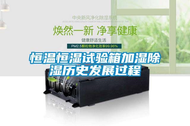 恒温恒湿试验箱加湿草莓视频黄色在线观看历史发展过程