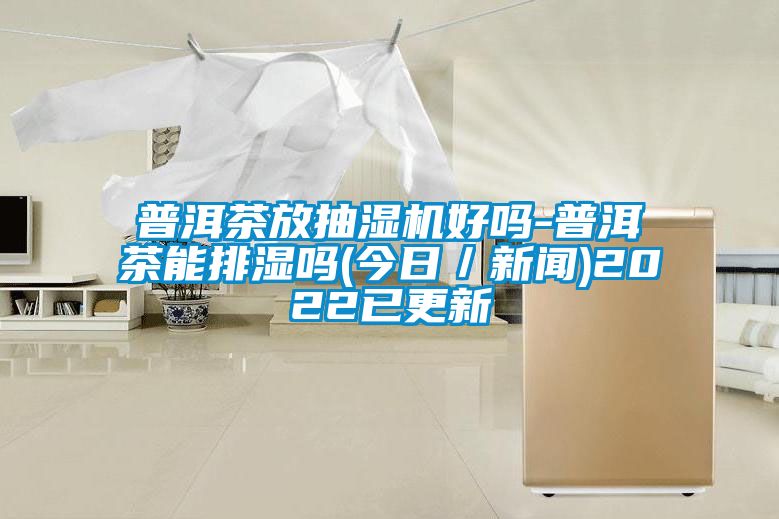 普洱茶放抽湿机好吗-普洱茶能排湿吗(今日／草莓视频在线免费观看污)2022已更新