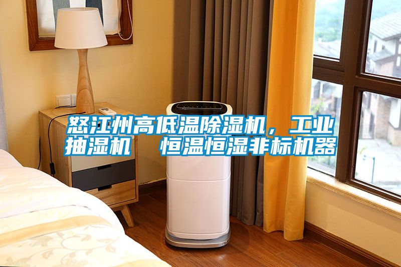 怒江州高低温草莓视频黄色在线观看机，工业抽湿机  恒温恒湿非标机器