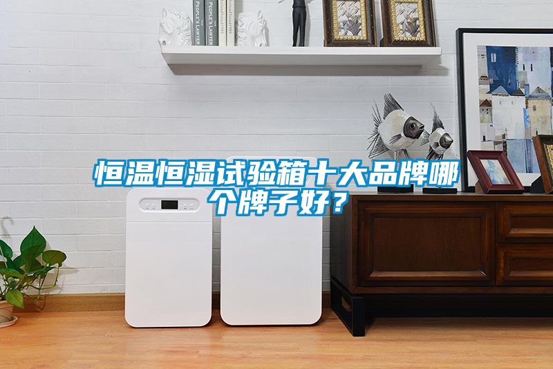 恒温恒湿试验箱十大品牌哪个牌子好？