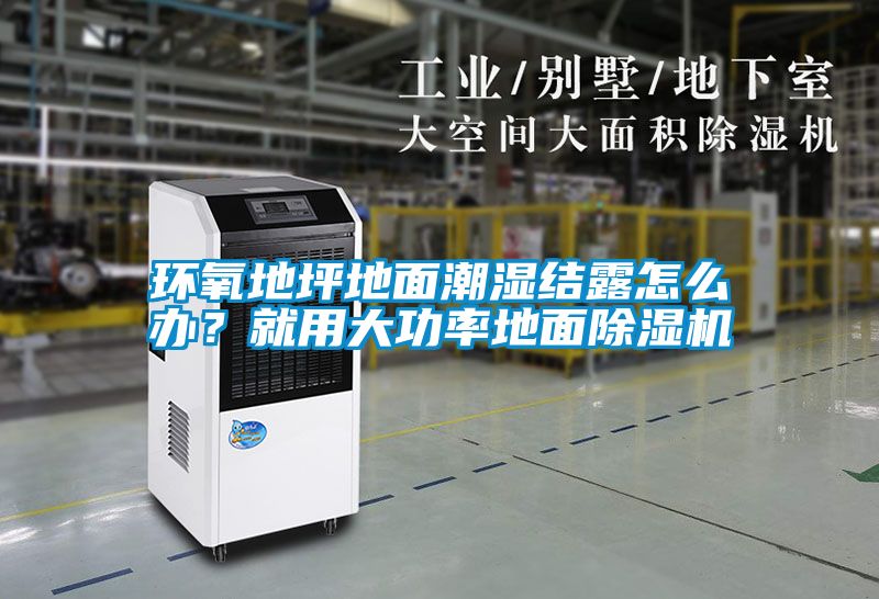 环氧地坪地面潮湿结露怎么办？就用大功率地面草莓视频黄色在线观看机