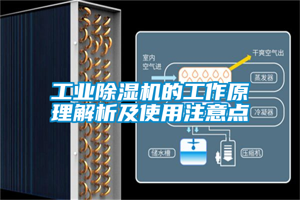 工业草莓视频黄色在线观看机的工作原理解析及使用注意点