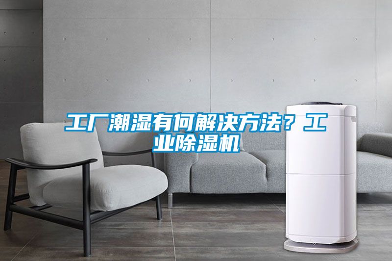工厂潮湿有何解决方法？工业草莓视频黄色在线观看机