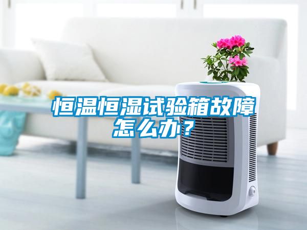 恒温恒湿试验箱故障怎么办？