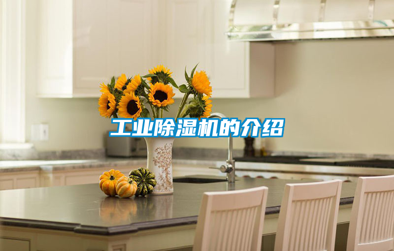 工业草莓视频黄色在线观看机的介绍