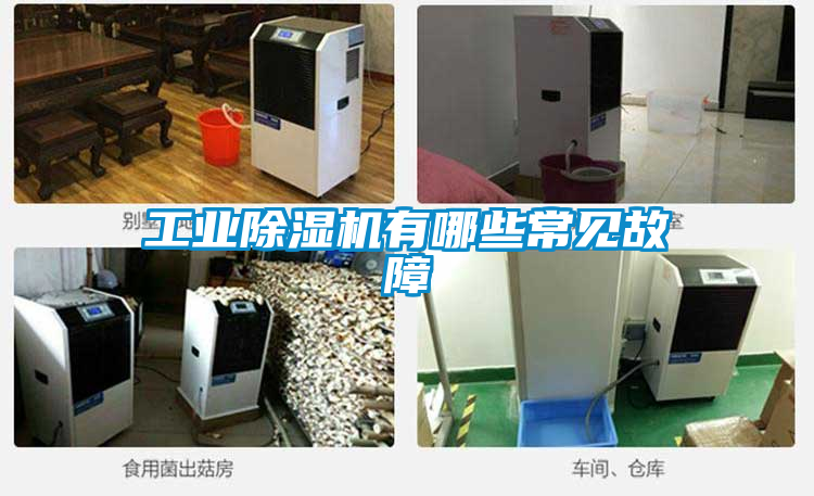 工业草莓视频黄色在线观看机有哪些常见故障