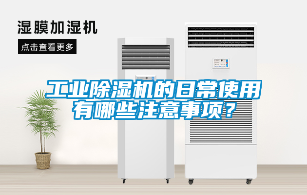 工业草莓视频黄色在线观看机的日常使用有哪些注意事项？
