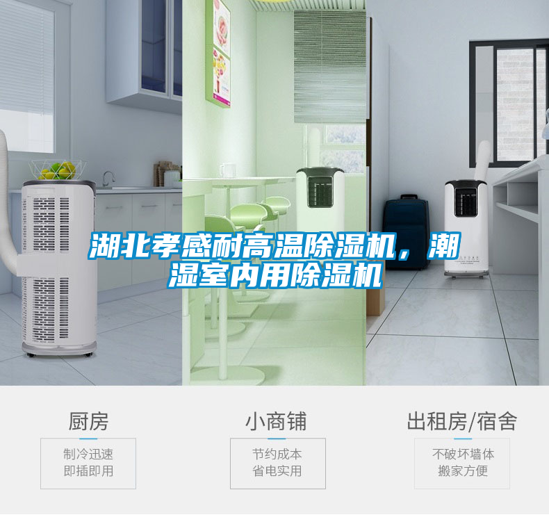 湖北孝感耐高温草莓视频黄色在线观看机，潮湿室内用草莓视频黄色在线观看机