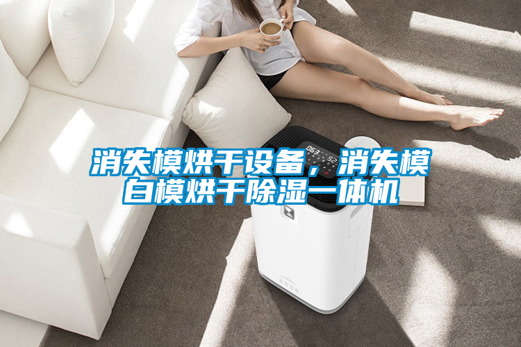 消失模烘干设备，消失模白模烘干草莓视频黄色在线观看一体机