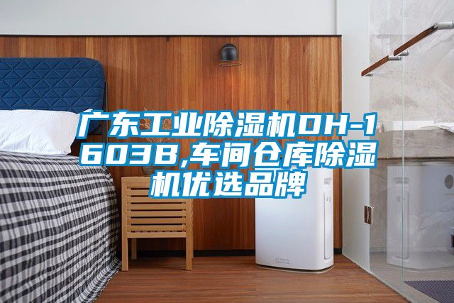 广东工业草莓视频黄色在线观看机DH-1603B,车间仓库草莓视频黄色在线观看机优选品牌