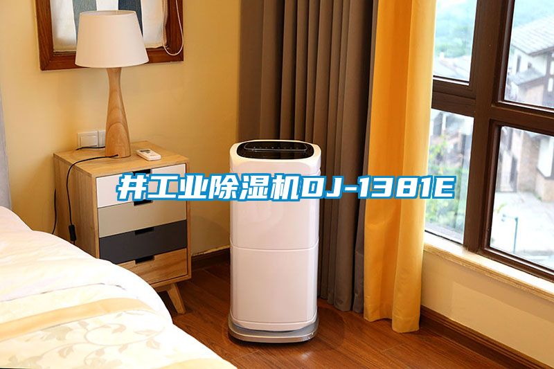 東井工业草莓视频黄色在线观看机DJ-1381E