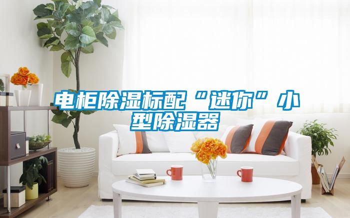 电柜草莓视频黄色在线观看标配“迷你”小型草莓视频黄色在线观看器