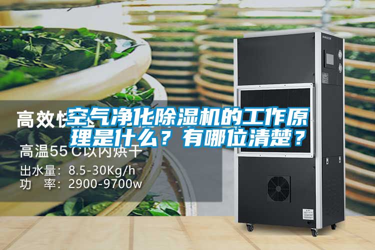 空气净化草莓视频黄色在线观看机的工作原理是什么？有哪位清楚？