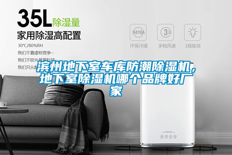 滨州地下室车库防潮草莓视频黄色在线观看机，地下室草莓视频黄色在线观看机哪个品牌好厂家