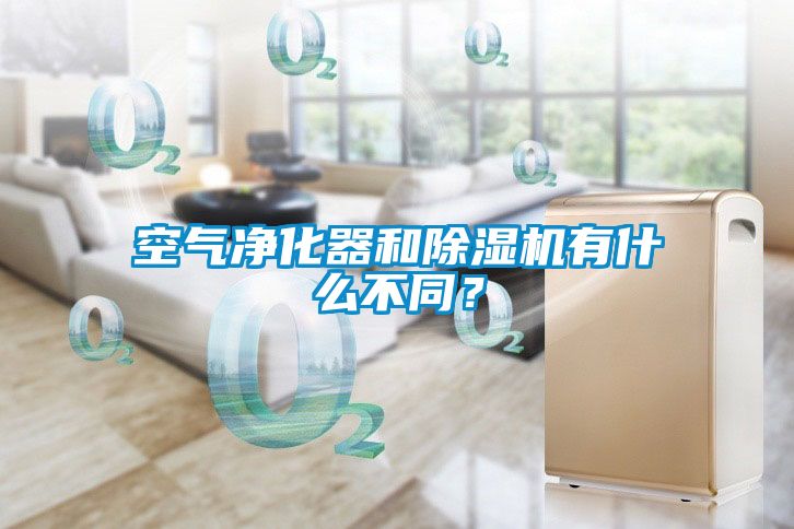 空气净化器和草莓视频黄色在线观看机有什么不同？