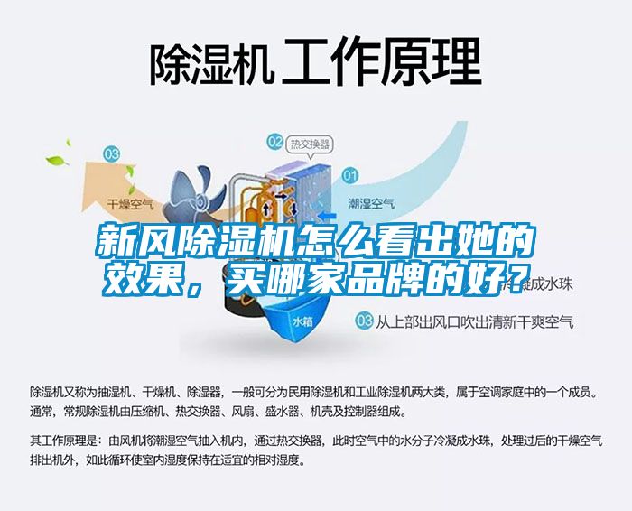新风草莓视频黄色在线观看机怎么看出她的效果，买哪家品牌的好？