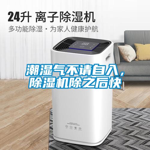潮湿气不请自入，草莓视频黄色在线观看机除之后快