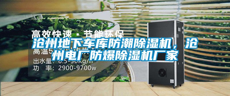 沧州地下车库防潮草莓视频黄色在线观看机，沧州电厂防爆草莓视频黄色在线观看机厂家