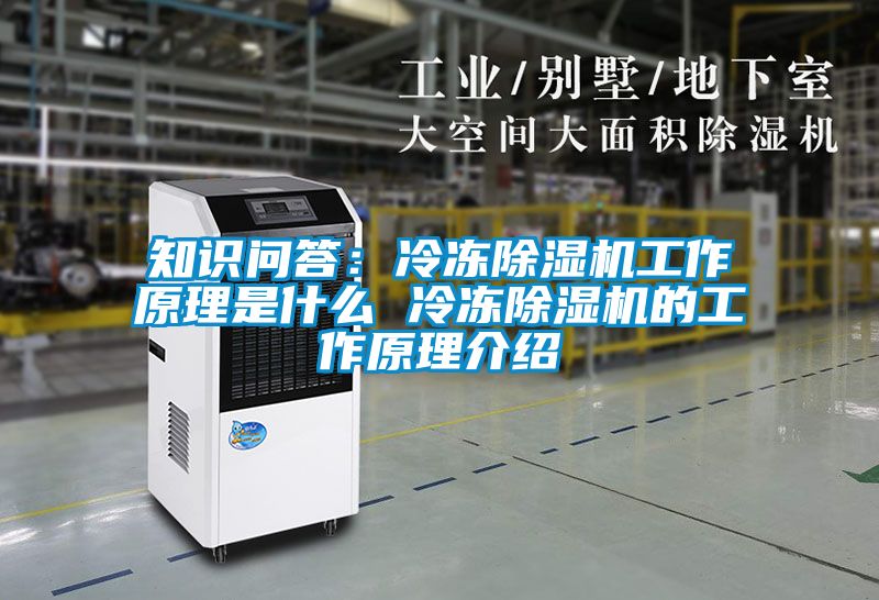 知识问答：冷冻草莓视频黄色在线观看机工作原理是什么 冷冻草莓视频黄色在线观看机的工作原理介绍