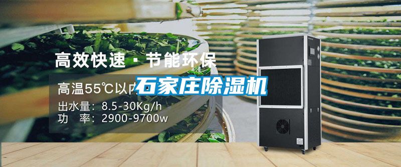 石家庄草莓视频黄色在线观看机