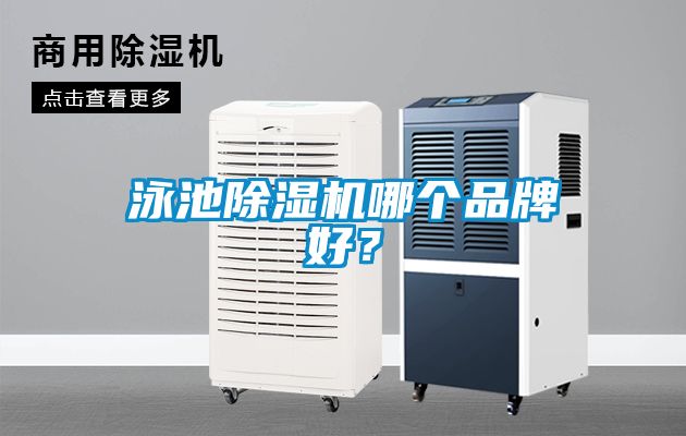 泳池草莓视频黄色在线观看机哪个品牌好？