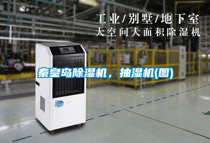 秦皇岛草莓视频黄色在线观看机，抽湿机(图)