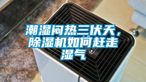 潮湿闷热三伏天，草莓视频黄色在线观看机如何赶走湿气