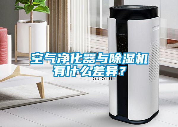 空气净化器与草莓视频黄色在线观看机有什么差异？