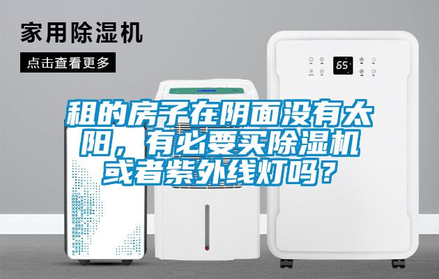 租的房子在阴面没有太阳，有必要买草莓视频黄色在线观看机或者紫外线灯吗？
