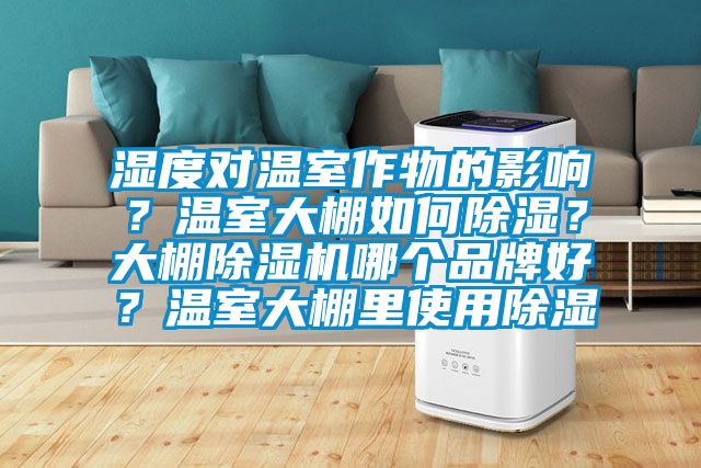 湿度对温室作物的影响？温室大棚如何草莓视频黄色在线观看？大棚草莓视频黄色在线观看机哪个品牌好？温室大棚里使用草莓视频黄色在线观看