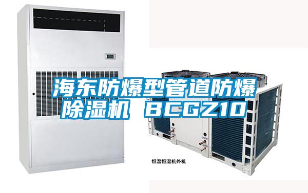 海东防爆型管道防爆草莓视频黄色在线观看机 BCGZ10