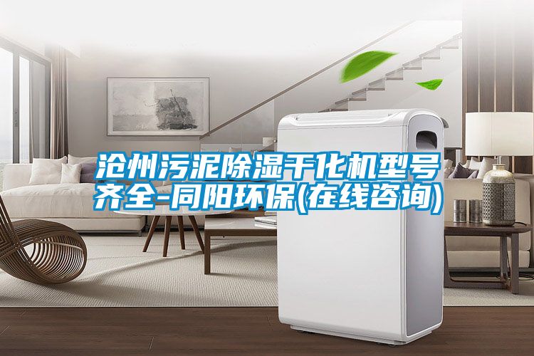 沧州污泥草莓视频黄色在线观看干化机型号齐全-同阳环保(在线咨询)