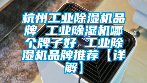 杭州工业草莓视频黄色在线观看机品牌 工业草莓视频黄色在线观看机哪个牌子好 工业草莓视频黄色在线观看机品牌推荐【详解】