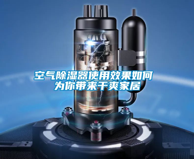 空气草莓视频黄色在线观看器使用效果如何 为你带来干爽家居