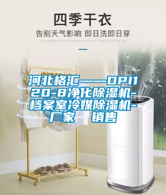 河北格汇——DPI120-8净化草莓视频黄色在线观看机-档案室冷媒草莓视频黄色在线观看机-厂家  销售