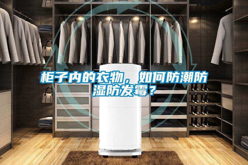 柜子内的衣物，如何防潮防湿防发霉？