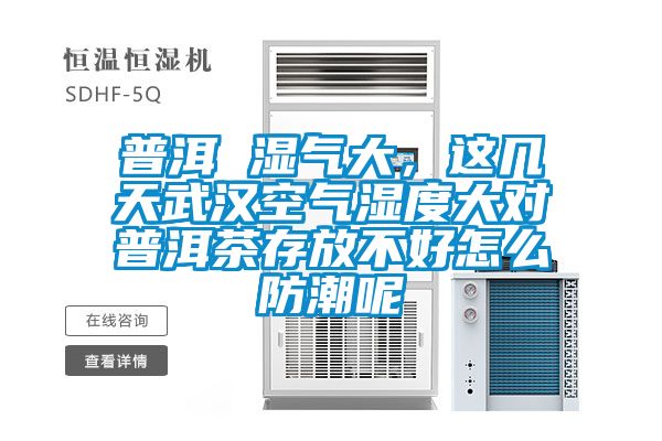 普洱 湿气大，这几天武汉空气湿度大对普洱茶存放不好怎么防潮呢