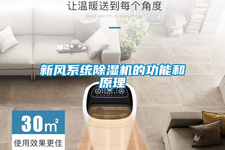 新风系统草莓视频黄色在线观看机的功能和原理