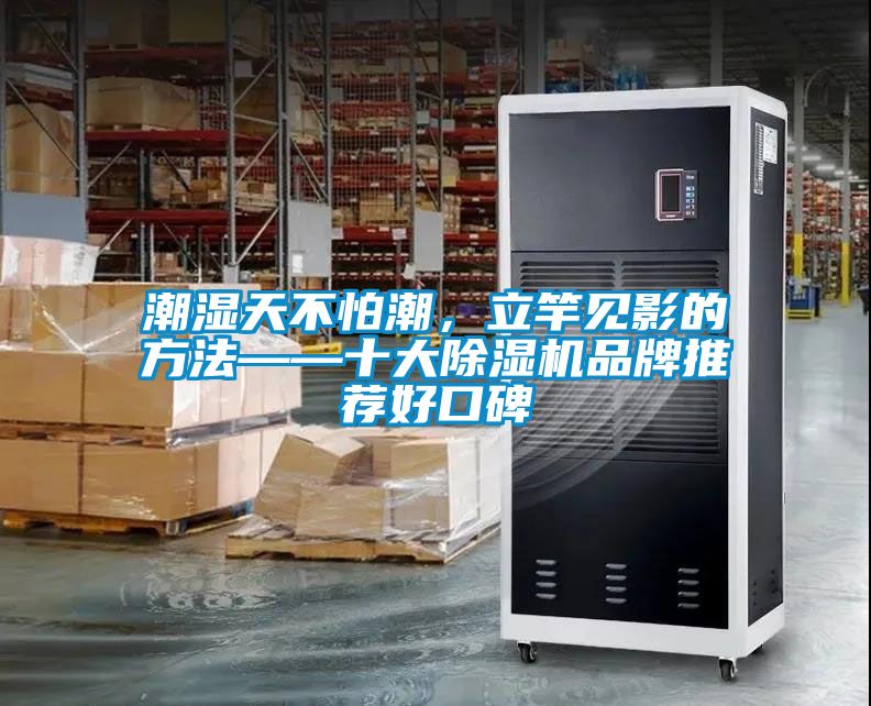 潮湿天不怕潮，立竿见影的方法——十大草莓视频黄色在线观看机品牌推荐好口碑