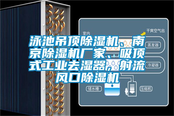 泳池吊顶草莓视频黄色在线观看机、南京草莓视频黄色在线观看机厂家、吸顶式工业去湿器，射流风口草莓视频黄色在线观看机