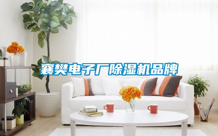 襄樊电子厂草莓视频黄色在线观看机品牌