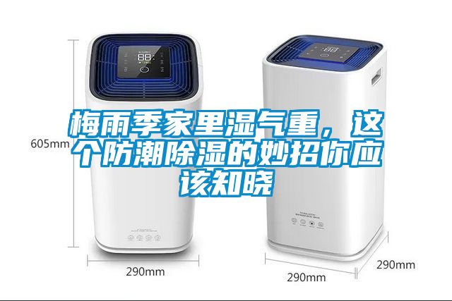 梅雨季家里湿气重，这个防潮草莓视频黄色在线观看的妙招你应该知晓