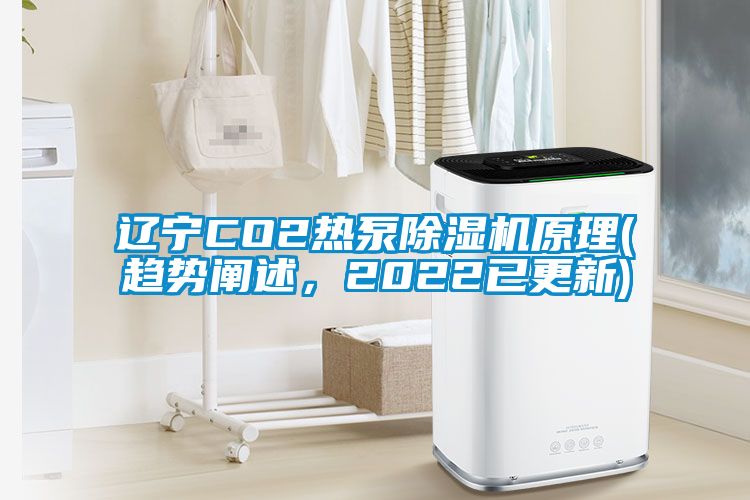 辽宁CO2热泵草莓视频黄色在线观看机原理(趋势阐述，2022已更新)