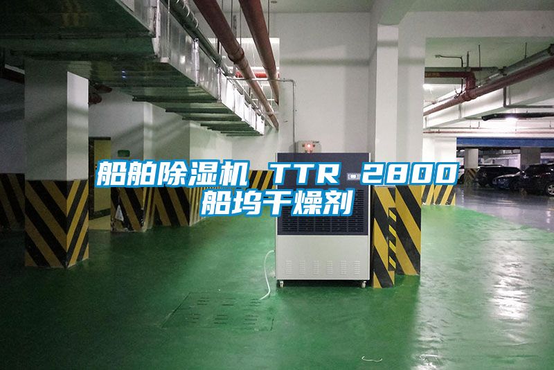 船舶草莓视频黄色在线观看机 TTR 2800船坞干燥剂
