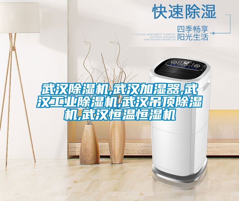 武汉草莓视频黄色在线观看机,武汉加湿器,武汉工业草莓视频黄色在线观看机,武汉吊顶草莓视频黄色在线观看机,武汉恒温恒湿机