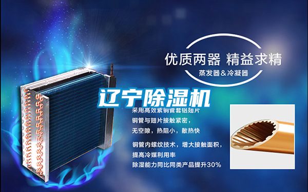 辽宁草莓视频黄色在线观看机