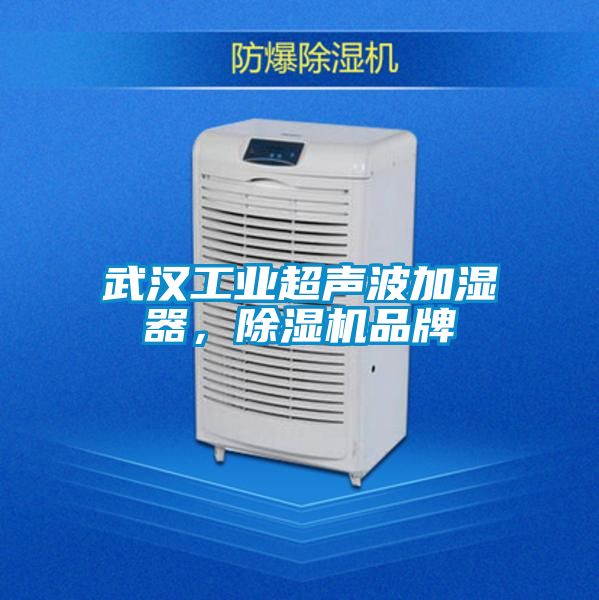 武汉工业超声波加湿器，草莓视频黄色在线观看机品牌