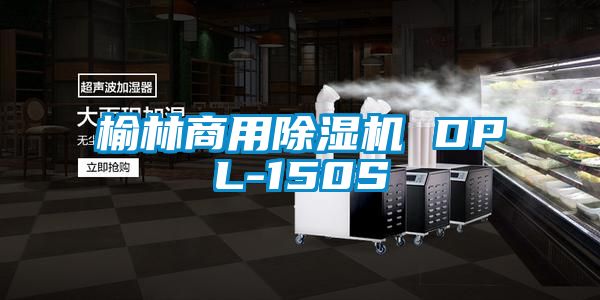 榆林商用草莓视频黄色在线观看机 DPL-150S