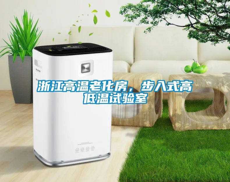 浙江高温老化房，步入式高低温试验室